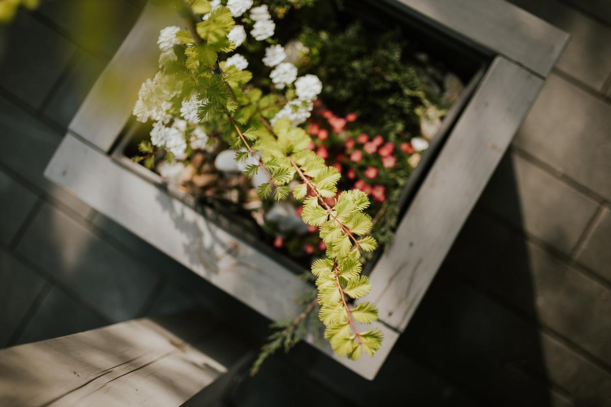 Apartamenty Las Zator Bagian luar foto